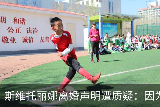 斯维托丽娜离婚声明遭质疑：因为战争就要离婚？别打球了去打仗吧